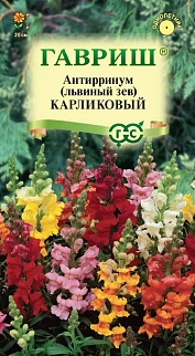 Львиный зев карликовый, смесь, 0,1 г