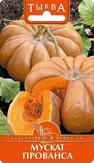 Тыква Мускат прованса, 5 шт. Биотехника
