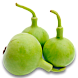 Лагенария
