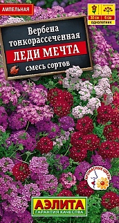Вербена Леди мечта, смесь сортов, 0,03 г