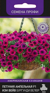 Петуния ампельная F1 Изи Вейв Бургунди Велюр, 5 шт. Семена профи