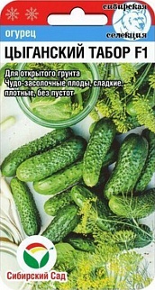 Огурец Цыганский табор F1, 7 шт. Сибирский сад
