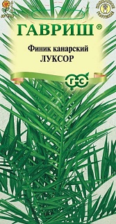 Финик канарский Луксор, 2 шт. 