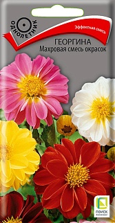 Георгина Махровая смесь окрасок, 0,3 г