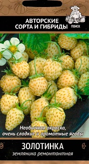 Земляника ремонтантная Золотинка, 100 шт.