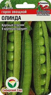 Горох Олинда F1, 4 г Семена Голландии. Сибирский сад.
