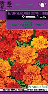 Бархатцы отклонённые Огненный шар хамелеон, 5 шт. Эксклюзив 
