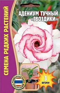 Адениум Гвоздики, 3 шт.