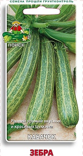 Кабачок Зебра, 5 шт. Поиск.