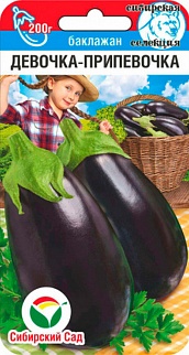 Баклажан Девочка-припевочка, 20 шт. Сибирский сад