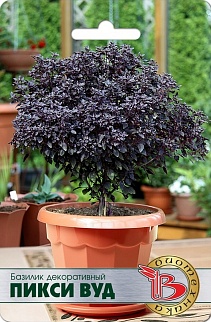 Базилик декоративный Пикси Вуд, 15 шт. Биотехника