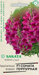 Антирринум Соната пурпурная F1, 10 шт. Саката.