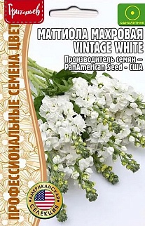Маттиола махровая Vintage White (Винтаж белый), 5 шт.