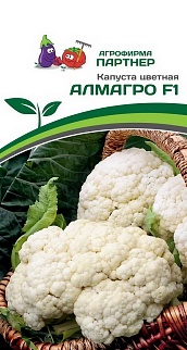 Капуста цветная Алмагро F1, 10 шт. 