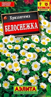 Хризантема Белоснежка, 0,1 г