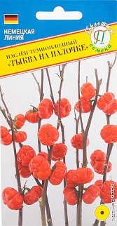 Паслен тыква на палочке, 5 шт. Немецкая линия Престиж 
