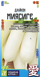 Дайкон Миясиге, 1 г. 