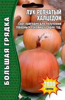 Лук Халцедон, 1000 шт. 