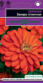 Цинния Захара огненная, 6 шт. Эксклюзив. 