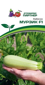 Кабачок Мурзик F1, 5 шт.