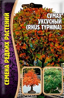 Сумах уксусный, 20 шт.