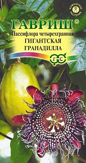 Пассифлора четырехгранная Гигантская гранадилла, 3 шт. 