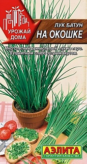 Лук батун На окошке, 0,3 г. Урожай дома.