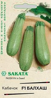 Кабачок Балхаш F1, 5 шт. Саката.