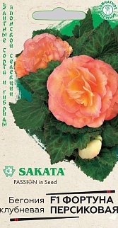 Бегония клубневая Фортуна персиковая F1, 4шт. Саката.