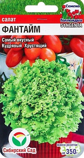 Салат Фантайм, 10 шт. Сибирский сад.