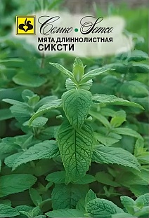 Мята длиннолистная Сиксти, 0,05 г