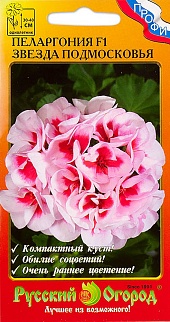Пеларгония Звезда Подмосковья, 5 шт. Русский огород