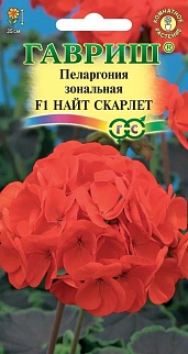 Пеларгония зональная Найт Скарлет F1, 4 шт.