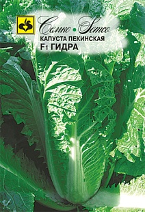 Капуста пекинская Гидра F1, 0,5 г