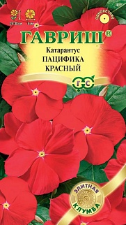 Катарантус Пацифика Красный, 5 шт. Элитная клумба 