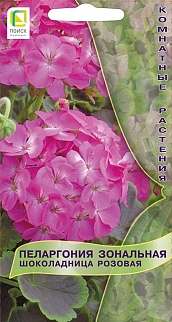 Пеларгония зональная Шоколадница Розовая, 5 шт. Комнатные растения