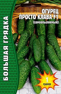 Огурец Просто Клава F1, 1 г