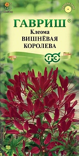 Клеома Вишневая королева, 0,3 г