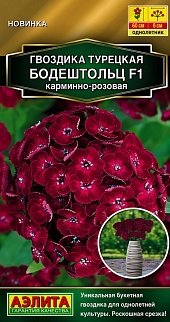 Гвоздика турецкая Бодештольц F1 карминно-розовая, 7 шт.