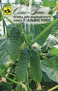 Огурец Альянс Плюс F1, 10 шт.