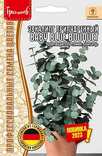Эвкалипт Baby Blue Bouquet припудренный, 3 шт. 