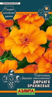 Бархатцы Дюранго, оранжевые, 10 шт.