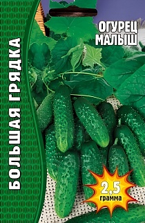 Огурец Малыш, 20 шт.