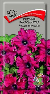 Петуния бахромчатая Афродита пурпурная, 10 шт.