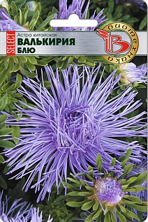 Астра китайская Валькирия селект Блю, 30 шт. Биотехника