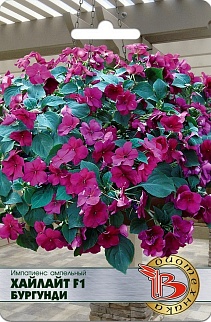 Импатиенс ампельный Хайлат F1 Бургунди, 10 шт. Биотехника