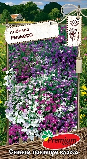 Лобелия Ривьера, 10 шт.