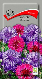 Василек Мон Амур, 1 г