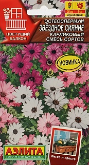 Остеоспермум Звездное сияние карликовый, смесь сортов, 10 шт.