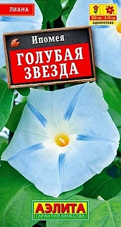 Ипомея Голубая звезда, 0,5 г